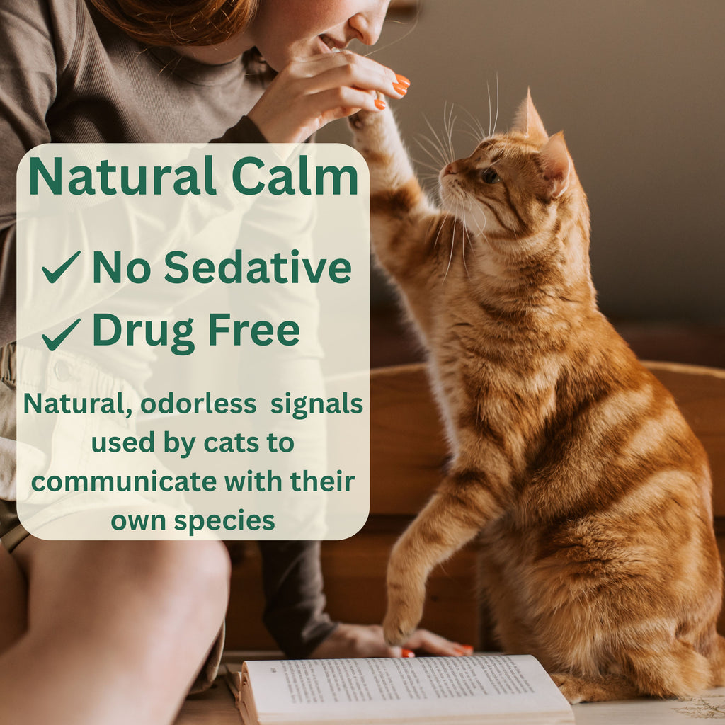 Cat Calming Diffuser Kit