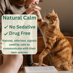 Cat Calming Diffuser Kit