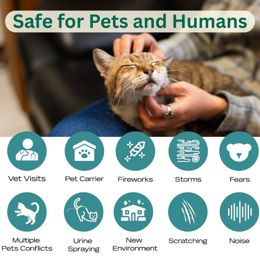 Cat Calming Diffuser Kit