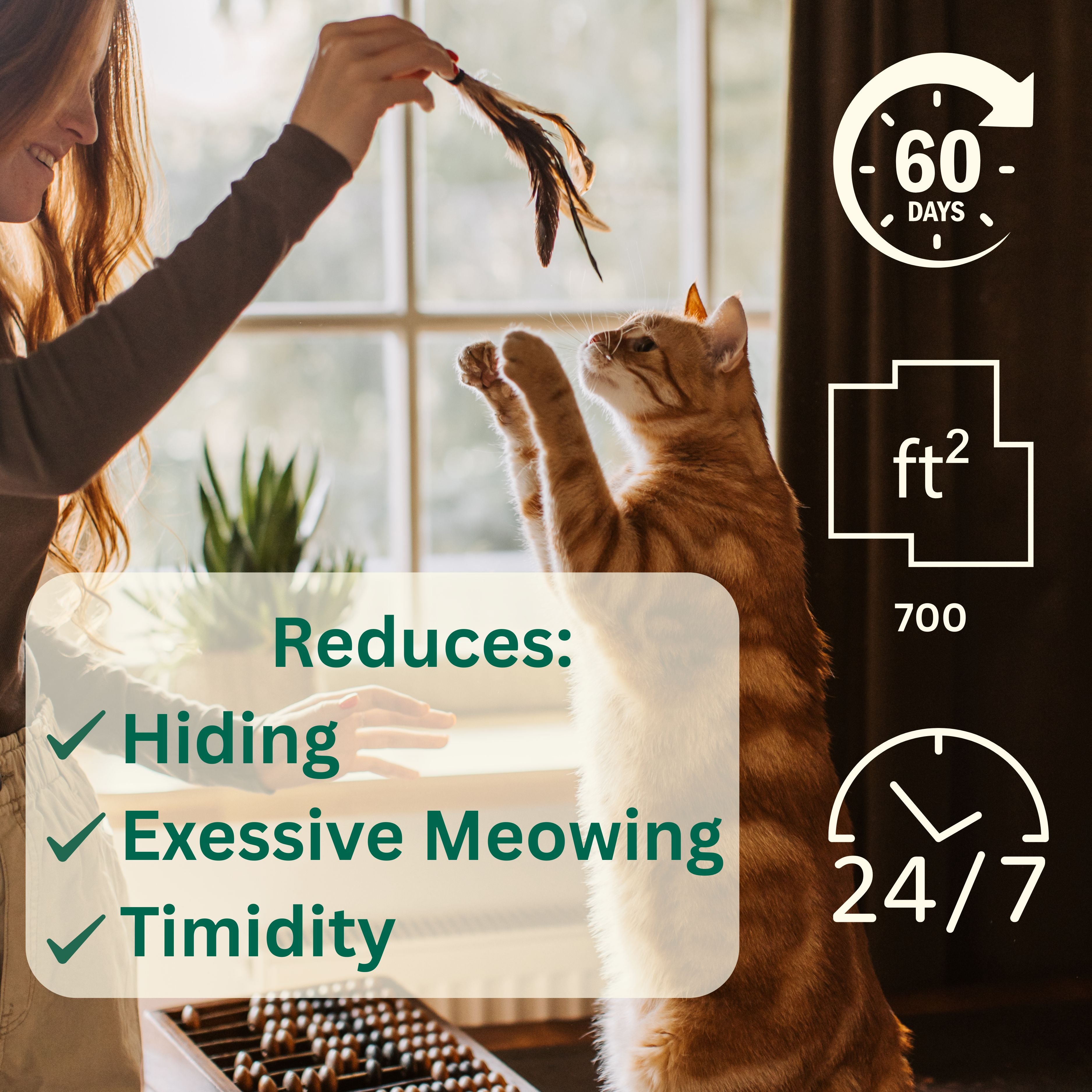 Cat Calming Diffuser Kit